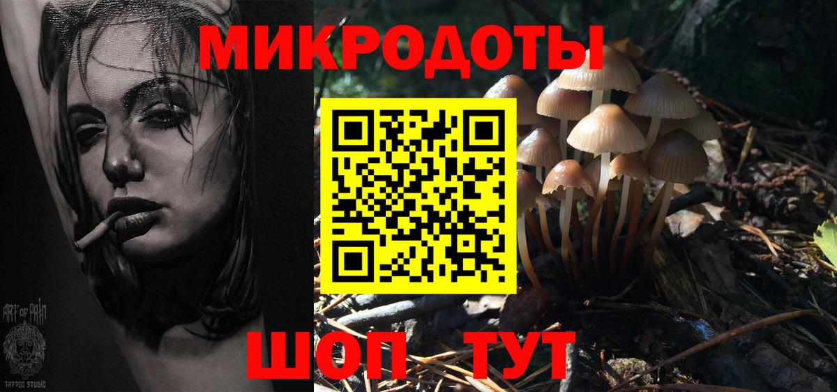 Галлюциногенные грибы Psilocybe  Вход с VPN  Галлюциногенные грибы мицелий  Электрогорск 